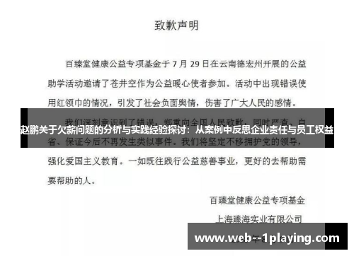赵鹏关于欠薪问题的分析与实践经验探讨:从案例中反思企业责任与员工权益 赵鹏关于欠薪问题的分析与实践经验探讨:从案例中反思企业责任与员工权益